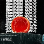 Cera Spider Nishman S1 Black Widow 150ml - Imagen 5