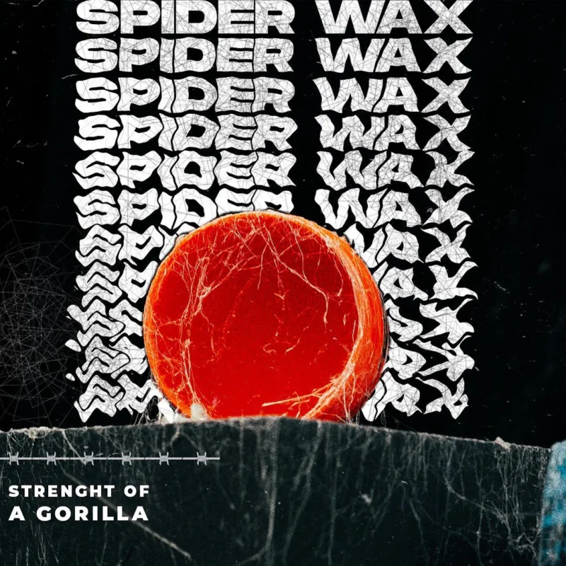 Cera Spider Nishman S1 Black Widow 150ml - Imagen 5